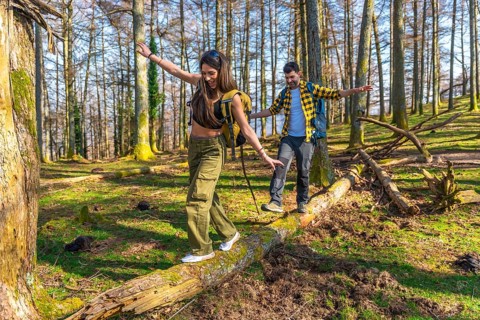 Hikers with backpacks carefully balancing on a fallen tree trunk while enjoying a hike through a