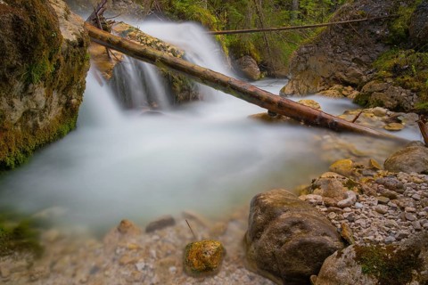 A tree trunk lies across a waterfall, long exposure, Dolomites, Puez-Geisler nature park Park, St.