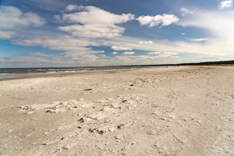 The Baltic Sea beach near Prerow, Mecklenburg-Western Pomerania, Germany, Europe