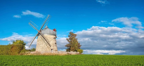 Green field with windmill under blue sky, mill, tower windmill, Tultewitz, Saxony-Anhalt, Germany,