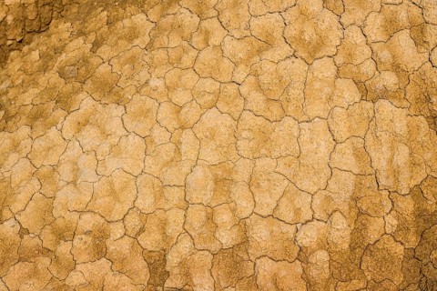 Cracked earth texture forming interesting patterns in bardenas reales desert, navarre, spain,