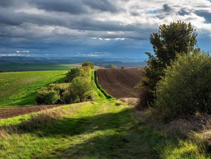 Field path through field landscape in the evening light, battlefield of 1806, Battle of Jena and