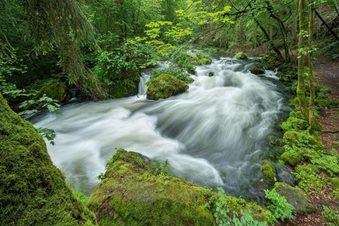 White water and rapids on the Trieb stream in the Triebtal nature reserve in Vogtland, Plauen,