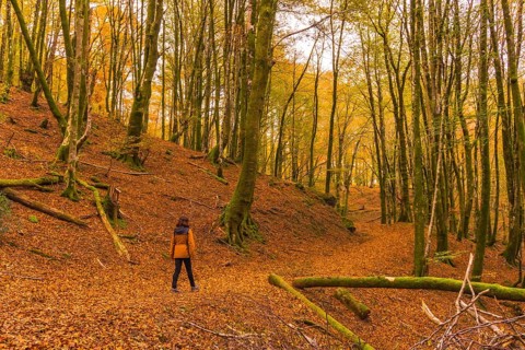Lifestyle, a young brunette in a yellow jacket walking along the forest path in autumn. Artikutza