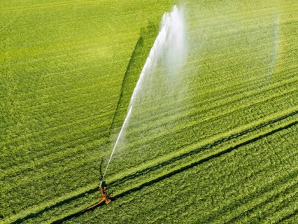 Artificial irrigation of a cereal field in April, with a sprinkler system, long dry spell in spring