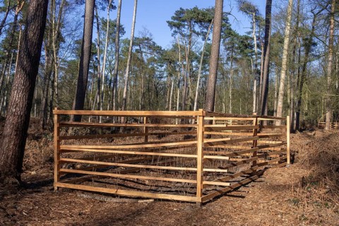 Wooden lattice called reeblock, roe deer block, fence for game browsing protection of young trees