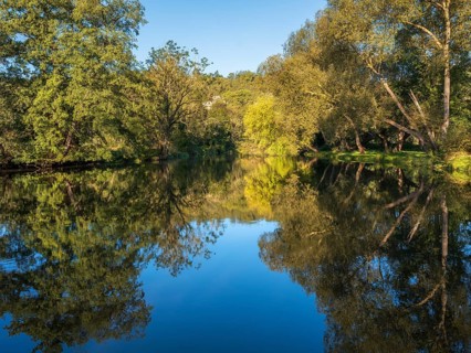 Trees reflected in the river Saale in the Saale valley not far from the Dornburg castles,