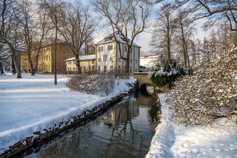 The snow-covered Gräflicher Park in Bad Driburg in winter, North Rhine-Westphalia, Germany, Europe