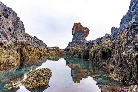 Rock formations by the sea at Djupalonssandur beach on the Snaefellsnes peninsula in winter in