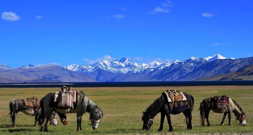 Tso Moriri