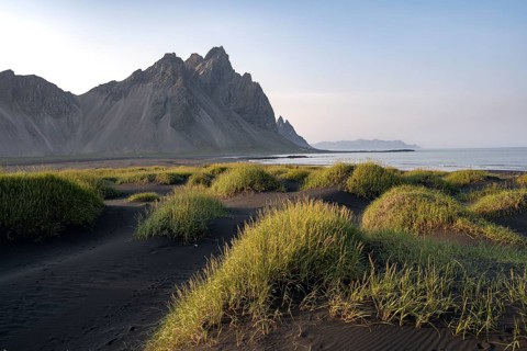 Black beach with volcanic sand, sandy beach, dunes with grass, Stokksnes headland, Klifatindur