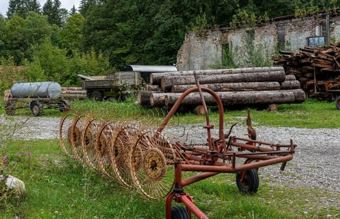 Logs stored on the grounds of the horticultural office, Schwangau, Bavaria, Germany, Europe