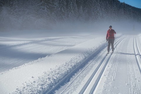Perfect track on the cross-country circuit alte Mühle, Ramsau am Dachstein, Styria, Austria, Europe