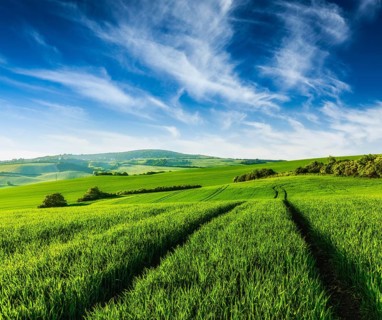 Rolling summer landscape with green grass field under blue sky