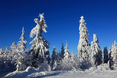 Winter landscape in the Fichtelgebirge, Bayreuth district, Upper Franconia, Bavaria, Germany,