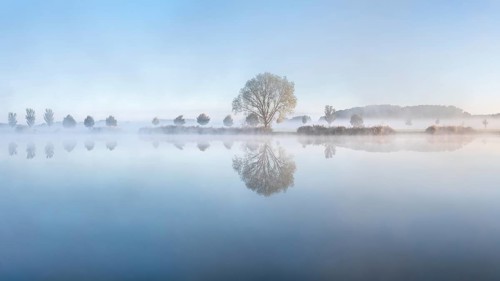 Still lake with morning mist in the soft morning light, a tree stands on the shore, landscape is