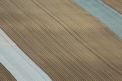 Field with grooves from above covered with foil, background, structure, pattern, line pattern,
