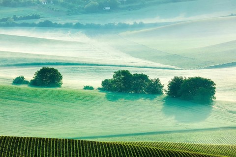 Moravian rolling fields landscape in morning mist. Moravia, Czech Republic, Europe