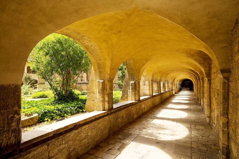 Cloister with view through the cemetery to the Thousand Year Rosebush, Mariendom, Hildesheim, Lower