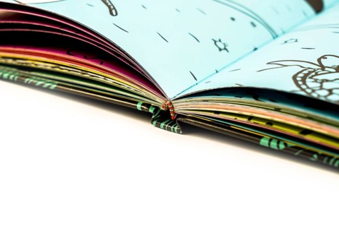 Detail of a hardcover book with the notebooks sewn with threads and glued on the spine, binding in