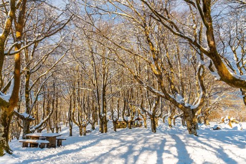 Beautiful refuge in the Oianleku natural park in the town of Oiartzun next to Peñas de Aya,