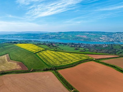 Rapeseed fields over the River Teign from a drone, Teignmouth, Shaldon, Devon, England, United