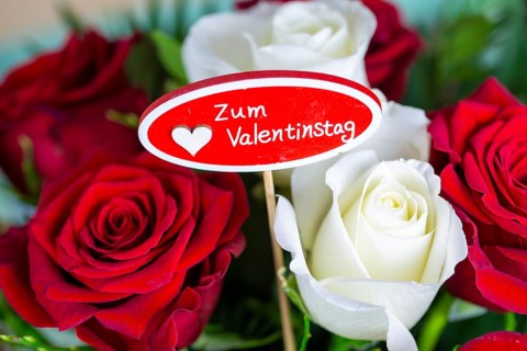 Valentine's greetings: Warm Valentine's Day greetings with a bouquet of white and red roses