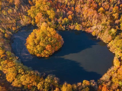 The leaves on the trees around the Gänseweiher pond near Maintal-Bischofsheim, close to Frankfurt
