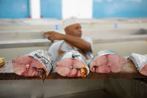 Fresh fish for sale at Muttrah Fish Market, Muscat, Oman, Asia