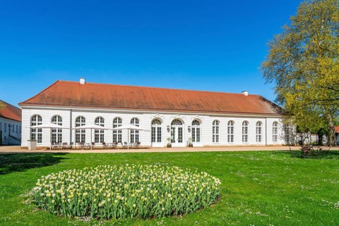 Bed with blooming tulips in front of the orangery of Neuhardenberg Castle, Neuhardenberg,
