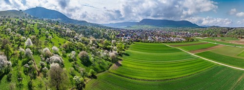 Spring on the Albtrauf of the Swabian Alb. In the Lenninger Valley, fruit trees blossom in the