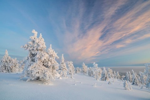 Winter landscape, Riisitunturi National Park, Posio, Lapland, Finland, Europe