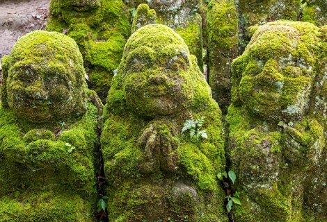 Moss-covered stone statues of rakans, the disciples of Buddha, Otagi Nenbutsu-ji temple, Kyoto,