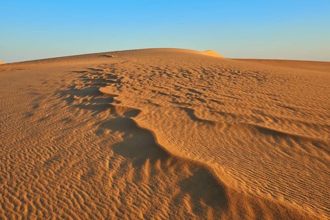 Wavy dunes stretch out under a clear sky, the sun casts long shadows on the sand, Matruh, Great