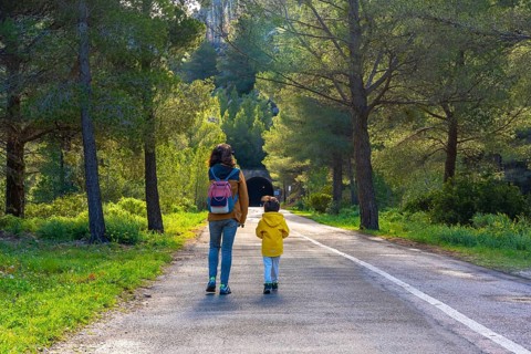 Mother and child enjoying a leisurely walk on a paved road amidst lush greenery and pine trees near