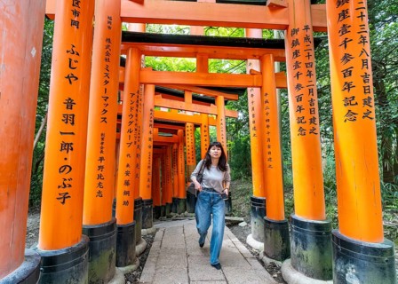 Torii path, Fushimi Inari-Taisha shrine, Kyoto, Japan, Asia