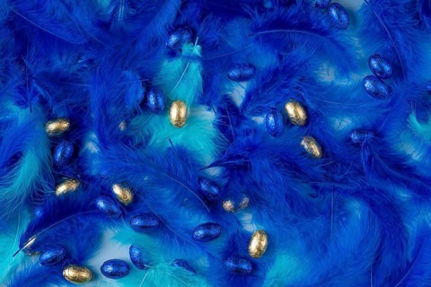 Golden and blue chocolate eggs amidst dense blue feathers create a festive texture
