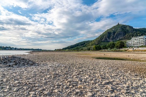 The Rhine at extremely low water, near Bad Honnef Rhöndorf, below the Drachenfels, Nonnenwerth