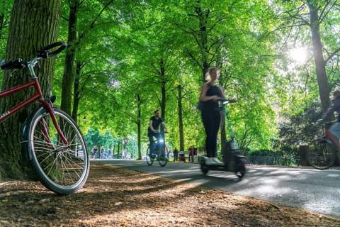 Promenade cycle path, tree-lined, car-free, approximately 4.5 km long ring road around the city