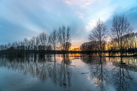 Bislicher Insel nature reserve, floodplain landscape on the Rhine, near Xanten, floods, flooded