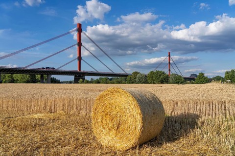 Grain field, harvested, straw bales, near Duisburg-Baerl, behind the motorway bridge of the A42
