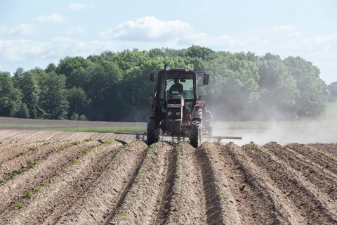 Tractor dragging a plume of dust behind it while working a potato field, Münchenberge, 20/05/2020