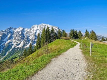 Hoher Göll with hiking trail in the foreground, Roßfeld Panoramastraße, Roßfeld, Berchtesgaden,