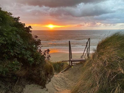 Sunset over the sea, the stairs lead down through the dunes to the beach, surrounded by plants,
