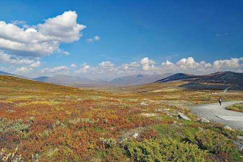 Vast autumnal landscape with a dirt road and distant mountains under a blue sky, hike to Snöhetta