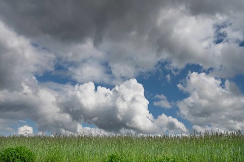 Meadow with cumulus clouds, Bavaria Germany