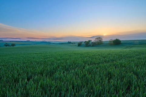 A picturesque sunrise over a wide green field and a gentle hilly landscape, Mönchberg, Mltenberg,
