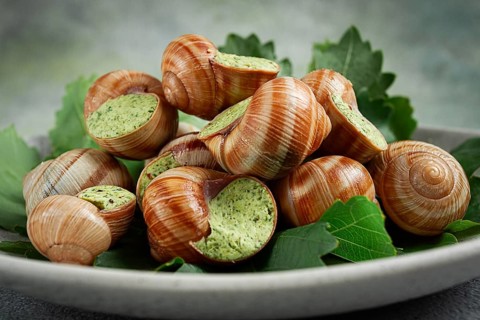 Grape snails, stuffed in burgundy, french cuisine