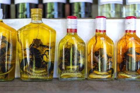 Choum, rice liquor, rice wine with pickled scorpions and snakes for sale, Laos, Asia