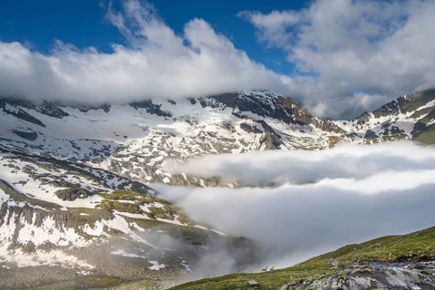 Two sheep on a mountain meadow in front of a mountain landscape, high fog in the valley, behind